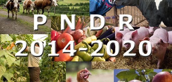 Colaj_PNDR_2014-2020_web